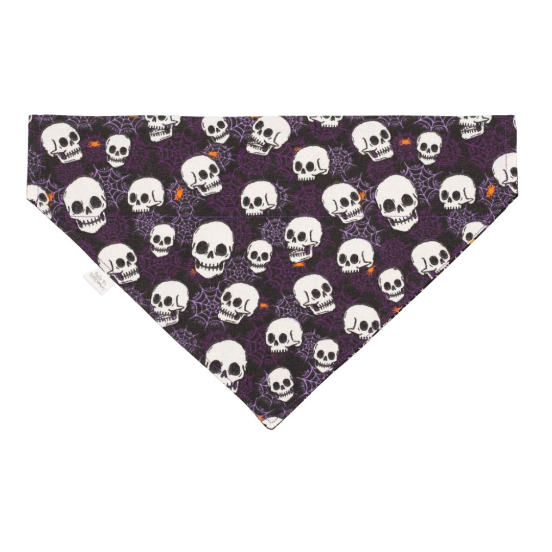 Spider Webs and Glow in the Dark Skulls Reversible Dog Bandana