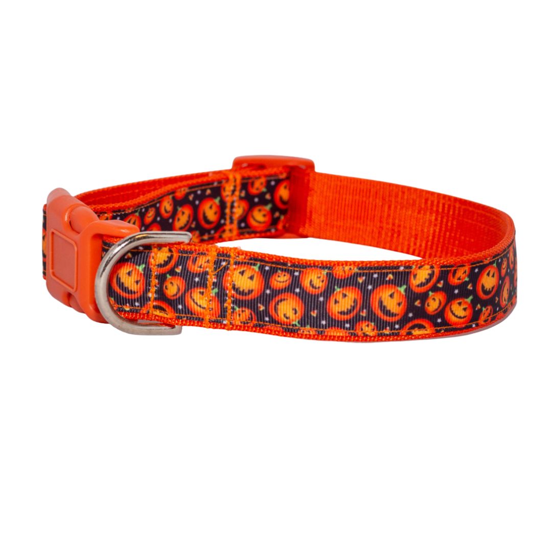 Lots of Jack-O-Lanterns Halloween Collar (1" Wide)