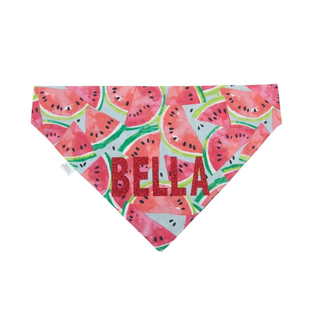Watermelon and Popsicles Reversible Dog Bandana