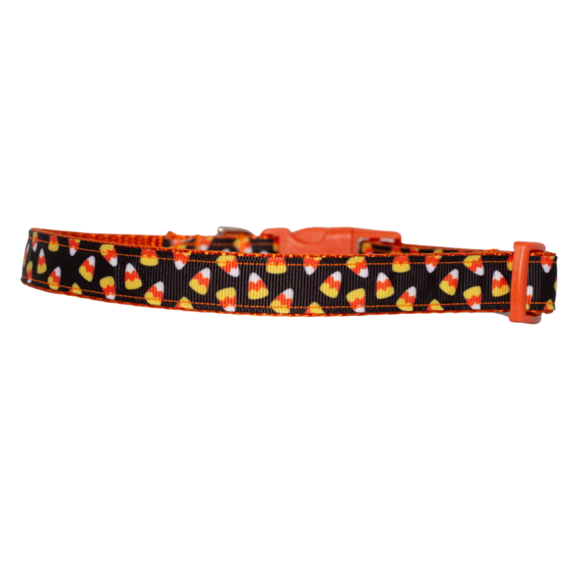 Candy Corn Dog Halloween Collar (3/4" Wide)