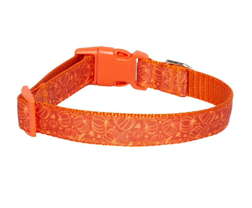 Fall Pumpkins Autumn  Dog Collar (1" Wide)