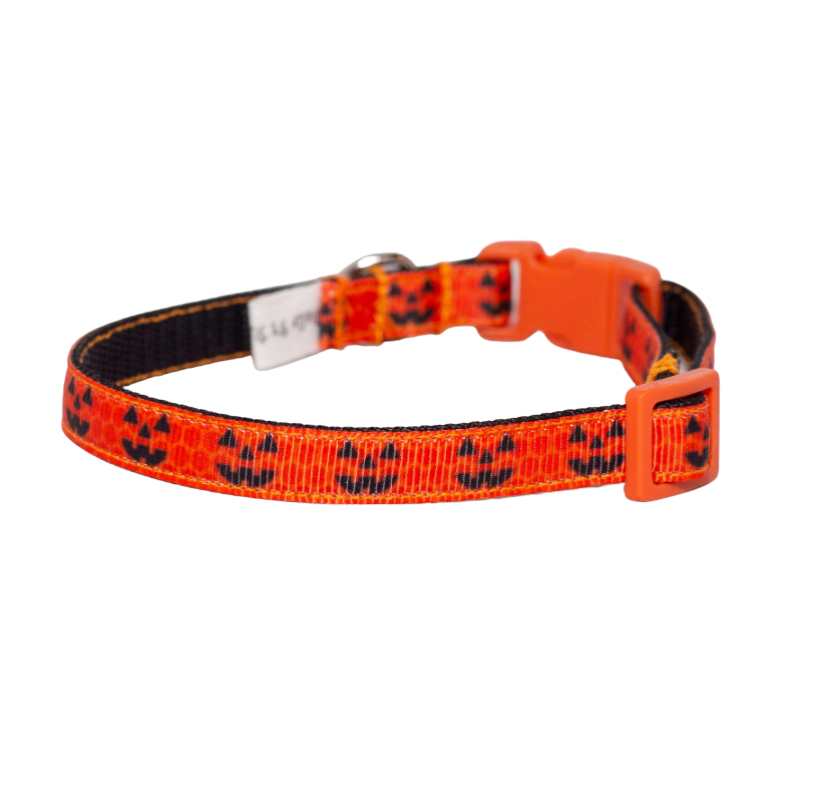 Little Jack-O-Lantern Dog Collar (3/8"-1/2")