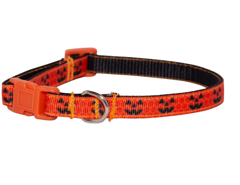 Little Jack-O-Lantern Dog Collar (3/8"-1/2")