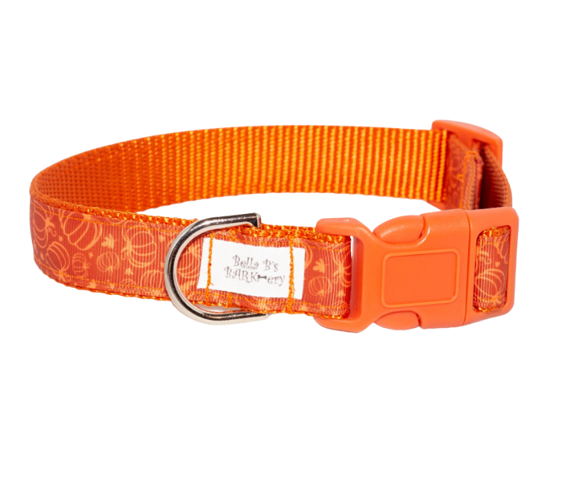 Fall Pumpkins Autumn  Dog Collar (1" Wide)