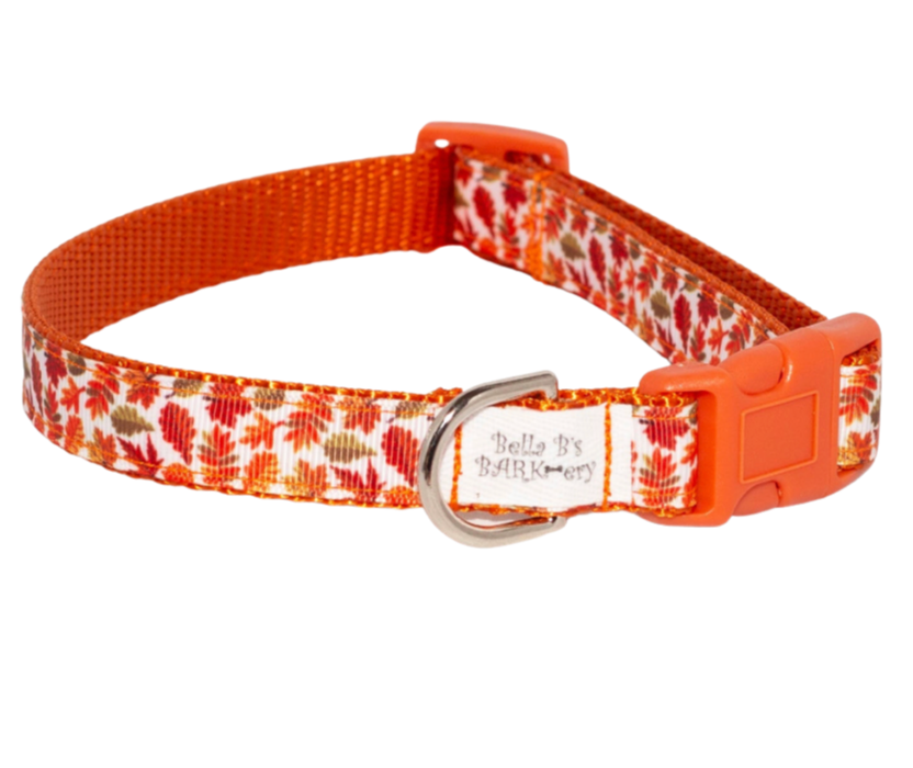 Falling Leaves Dog Collar (3/4" Wide)
