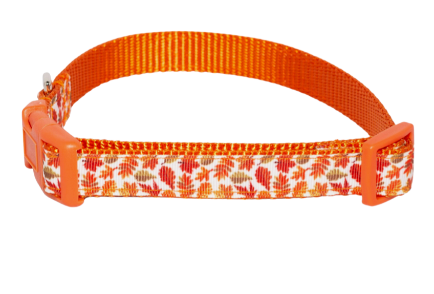 Falling Leaves Dog Collar (3/4" Wide)