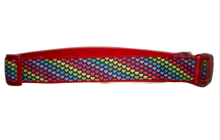 Bright Multi Colored Hearts Dog Collar or Collar and Leash Set