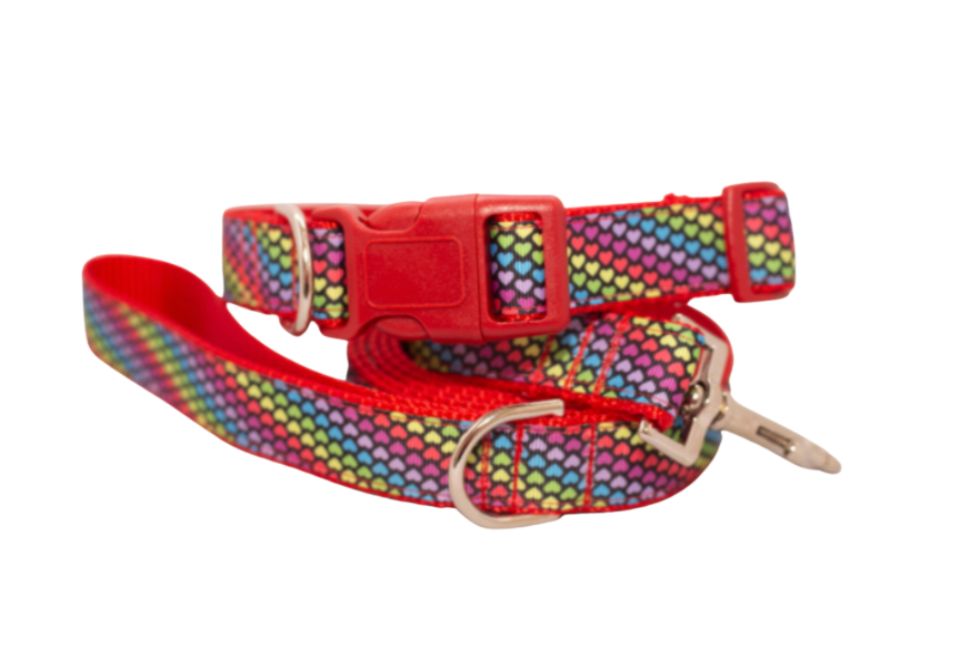Bright Multi Colored Hearts Dog Collar or Collar and Leash Set