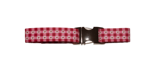Valentine's Day Gingham with Hearts Collar