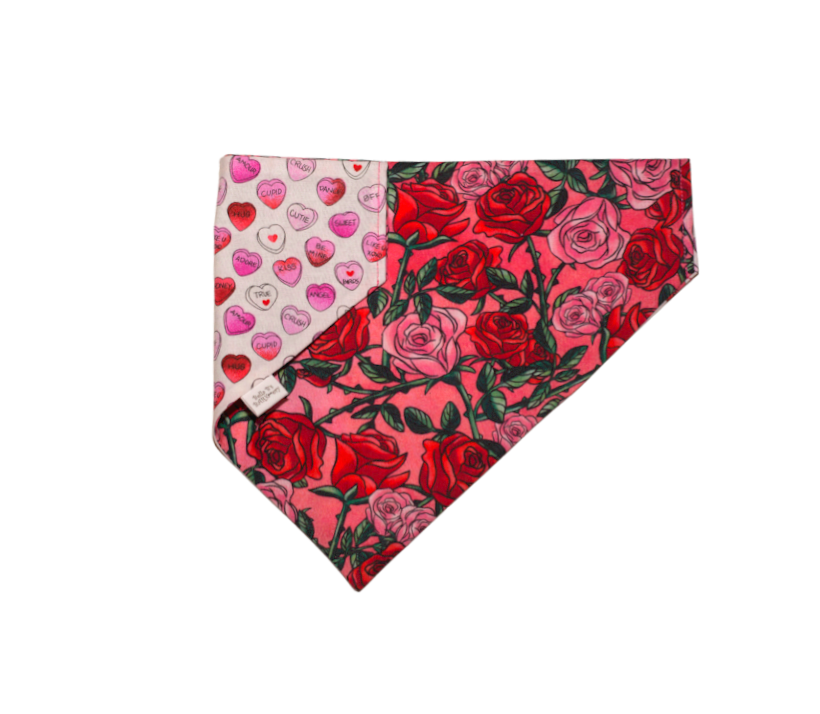 Valentine's Day Dog Bandana, Dog Bandana with Roses, Conversation hearts dog bandana