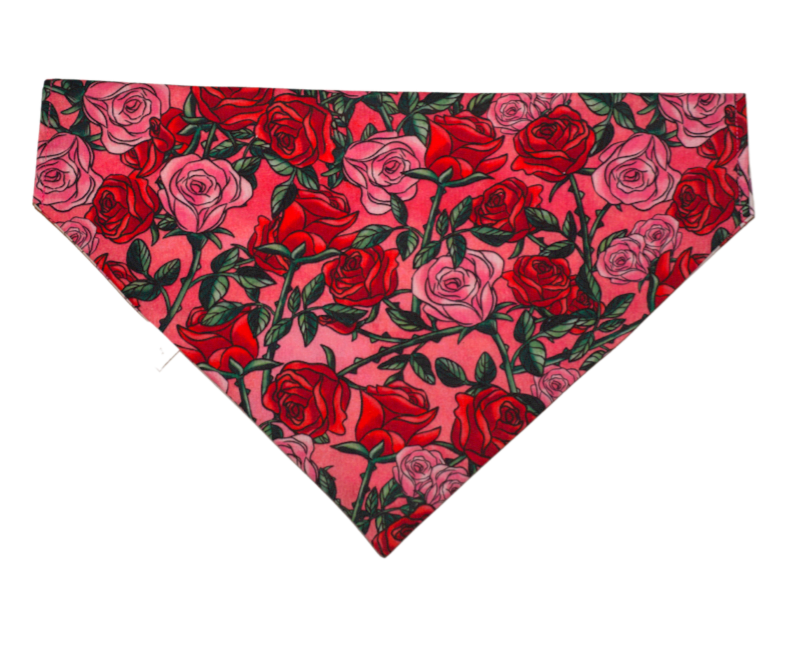 Valentine's Day Dog Bandana, Dog Bandana with Roses, Conversation hearts dog bandana