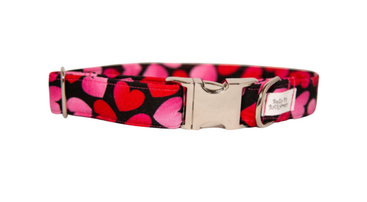 Valentine's Day Hearts Dog Collar