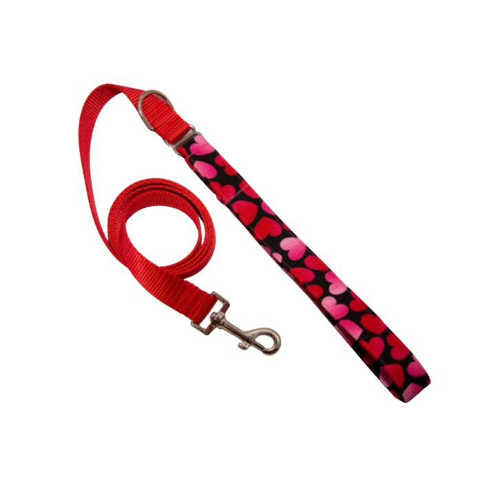 Valentine's Day Hearts Hybrid Dog Leash