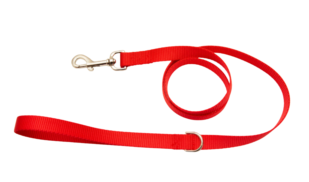 Red Webbing Dog Leash