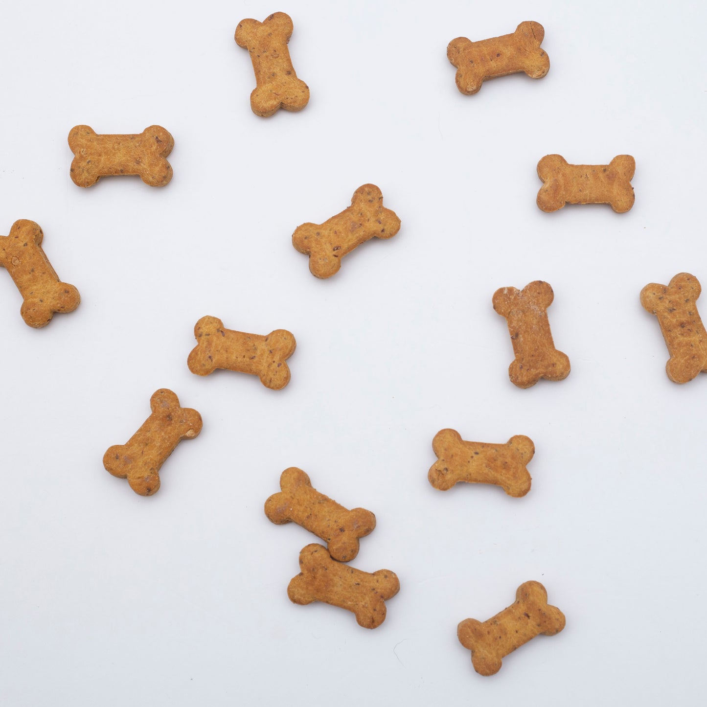 gluten free pumpkin peanut butter dog treats