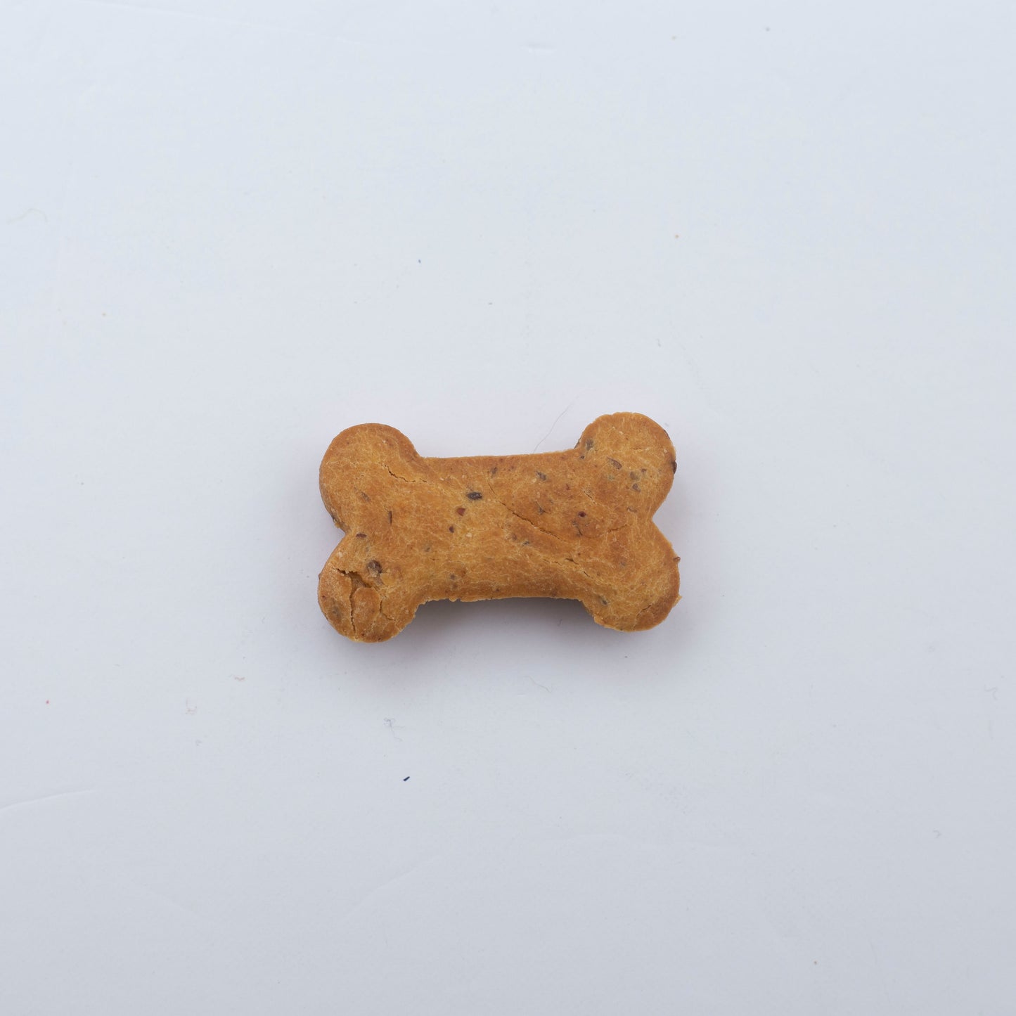 gluten free pumpkin peanut butter dog treats