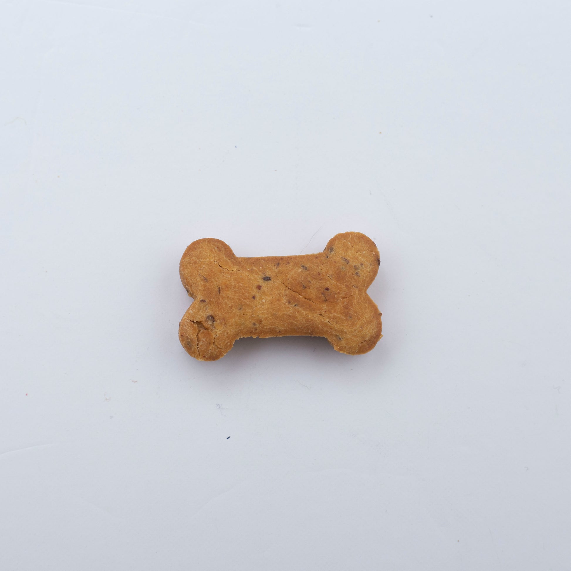 gluten free pumpkin peanut butter dog treats