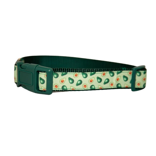 Avocado Dog Collar (1" Wide)