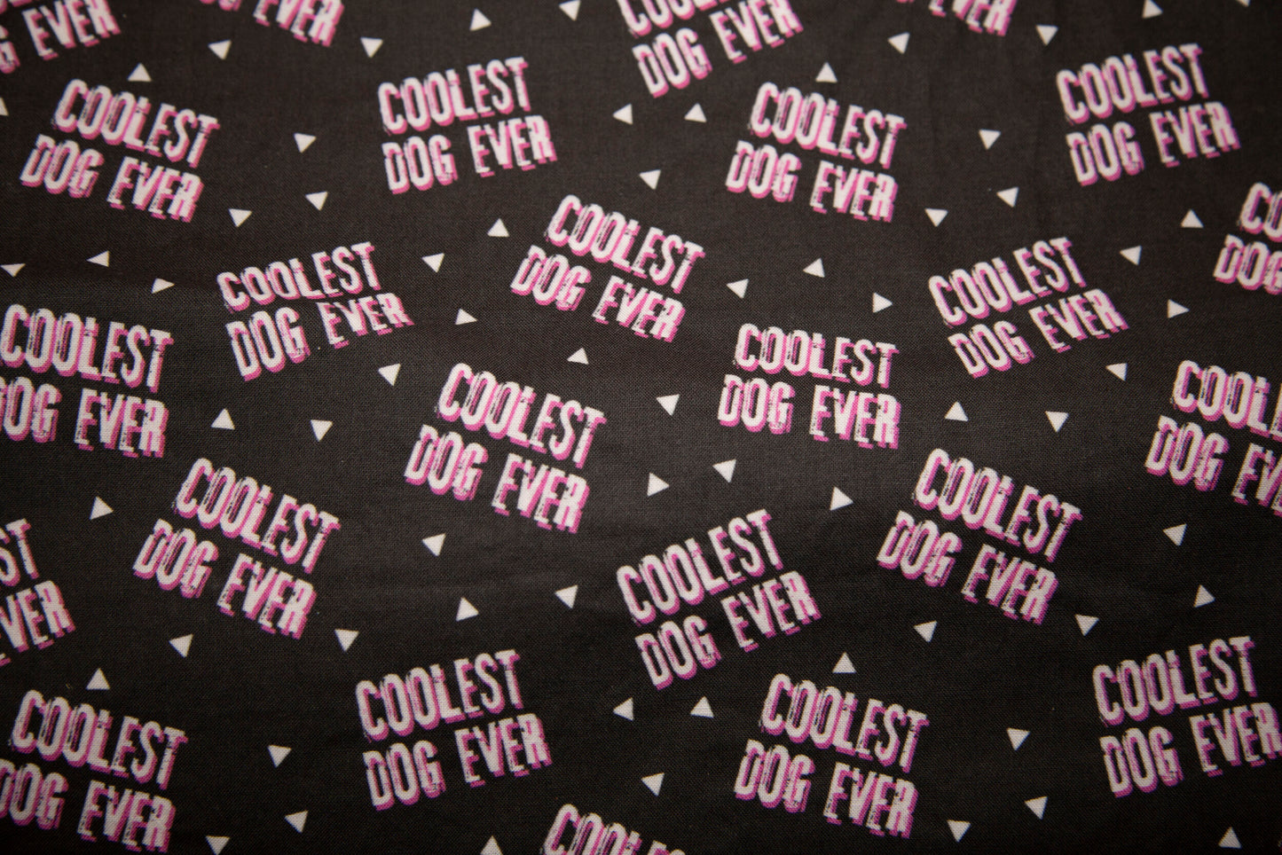 Coolest Dog Ever Reversible Dog Bandana