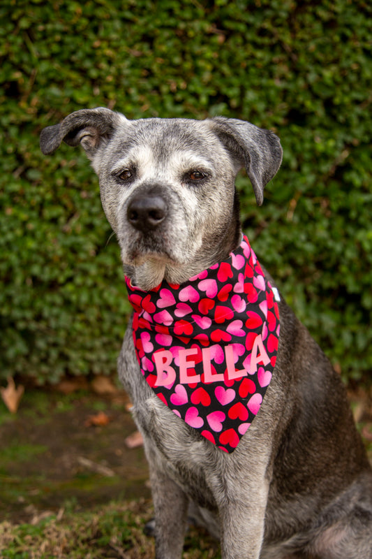 Valentine's Day Hearts Dog Bandana