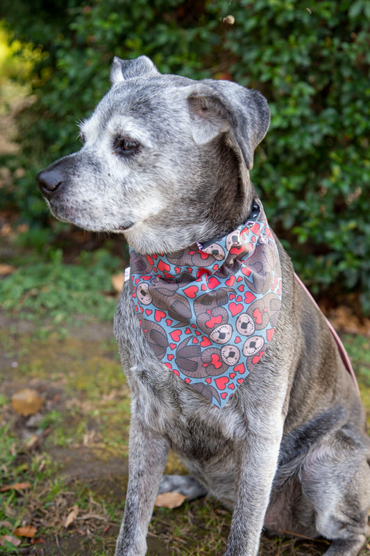 Otters in Love Dog Bandana