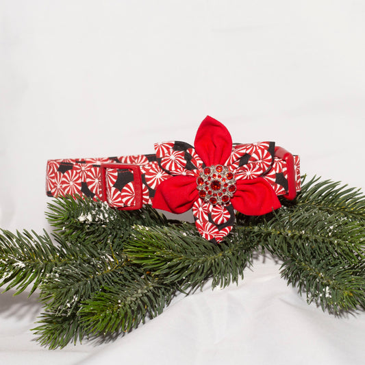 Peppermint Candies Christmas Dog Collar Bundle (1" wide)